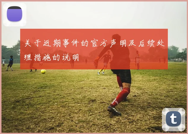 关于近期事件的官方声明及后续处理措施的说明