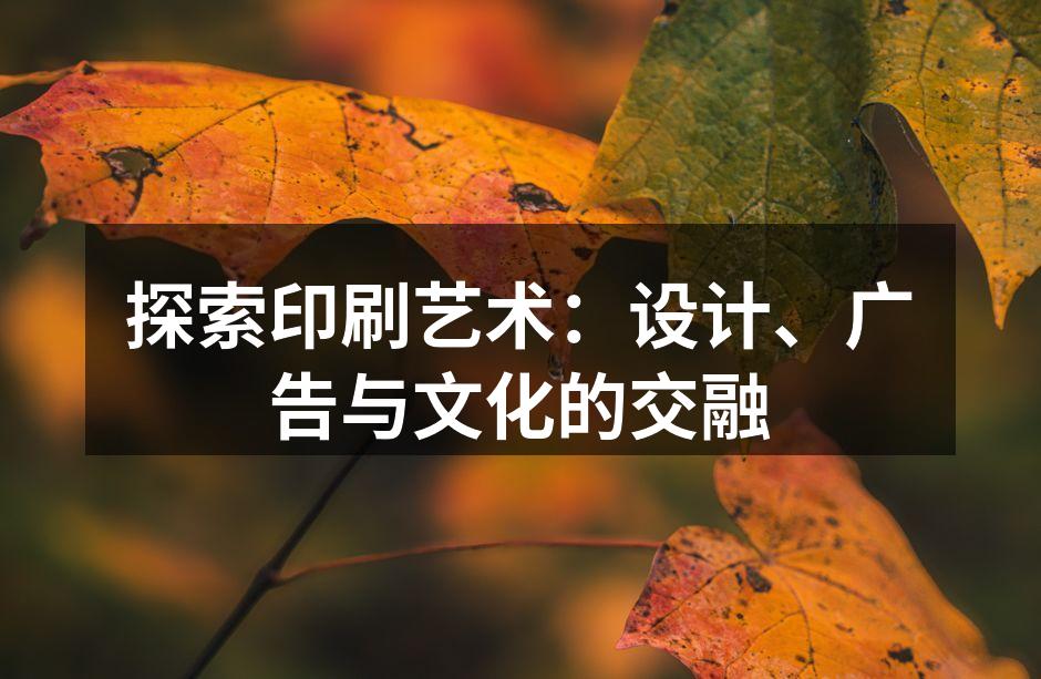 精美的印刷样本展示